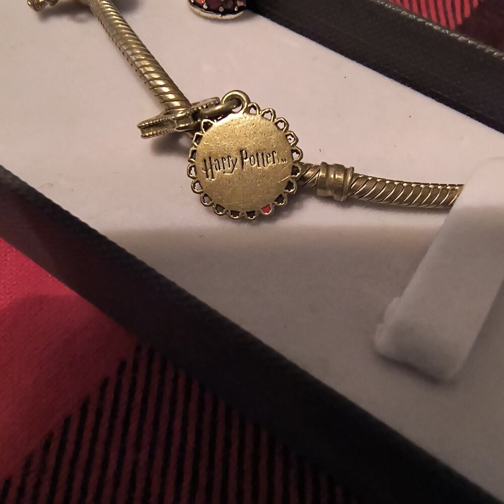 Harry Potter Pandora bracelet